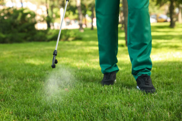 Best Wildlife Control Services  in Turley, OK