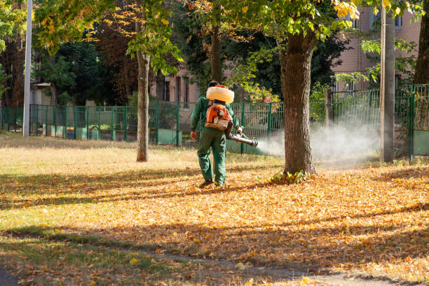 Best Emergency Pest Control  in Turley, OK