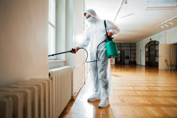 Best Termite Control Services  in Turley, OK