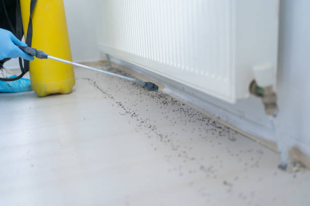 Best Pest Inspection Near Me  in Turley, OK